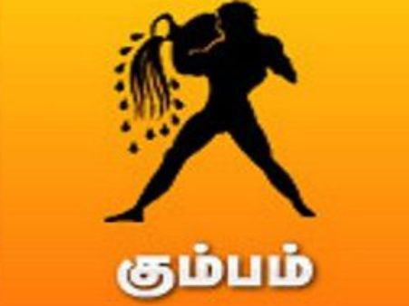 ஆங்கில புத்தாண்டு ராசி பலன்கள்- 2017 - கும்பம்