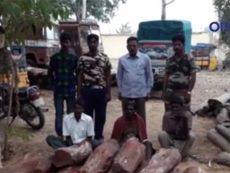 திருப்பதி: செம்மரக்கடத்தலில் ஈடுபட்ட 3 தமிழக தொழிலாளர்கள் கைது- வீடியோ