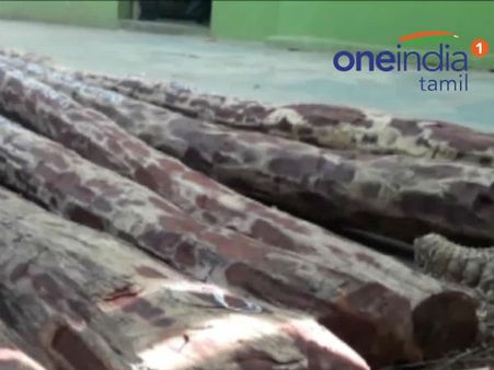 ஆந்திராவில் ரூ. 1 கோடி மதிப்புள்ள 56 செம்மரக்கட்டைகள் பறிமுதல்... தமிழர் உட்பட 8 பேர் கைது- வீடியோ