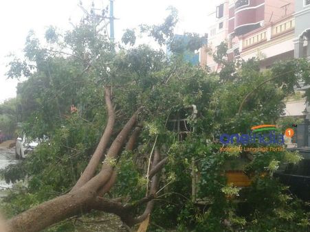 சென்னையை நாசமாக்கும் வர்தா புயல்... உதவி எண்கள் அறிவிப்பு