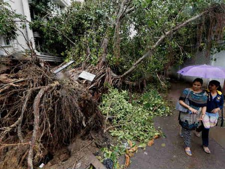 வர்தா புயலால் ரூ.6,749 கோடி இழப்பு- கட்டங்கள், விவசாயம் சேதம், கால்நடைகள் இறப்பு