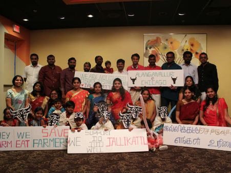 ஜல்லிக்கட்டு ஆதரவாக சிலிர்த்தெழுந்த சிகாகோ தமிழர்கள் - அசத்தும் வீடியோ