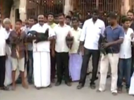 தடையை மீறி சேவல் சண்டை.. திருச்சியில் பரபரப்பு