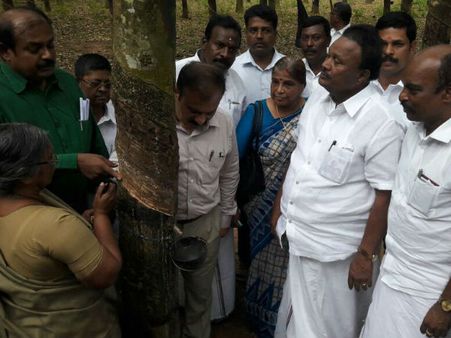குமரியில் ரப்பர் பூங்கா அமைப்பது தொடர்பாக பரிசீலனை - அமைச்சர் திண்டுக்கல் சீனிவாசன்