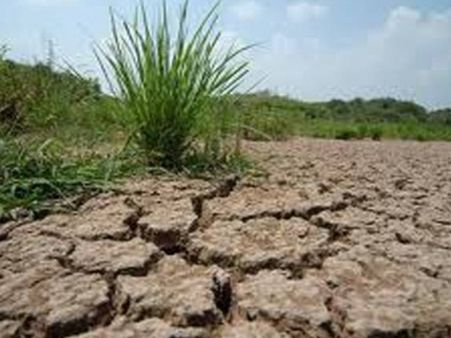 106 விவசாயிகள் மரணம்.. தமிழக அரசுக்கு மனித உரிமைகள் ஆணையம் நோட்டீஸ்