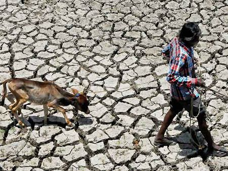 பயிர்கள் கருகியதால் ஒரே நாளில் 12 விவசாயிகள் மரணம் - பலி எண்ணிக்கை 81 ஆக உயர்வு