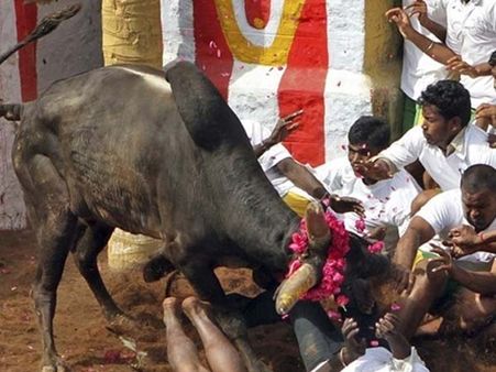 எங்களை கேட்காமல் ஜல்லிக்கட்டில் உத்தரவு பிறப்பிக்காதீர்... உச்சநீதிமன்றத்தில் தமிழக அரசு கேவியட் மனு