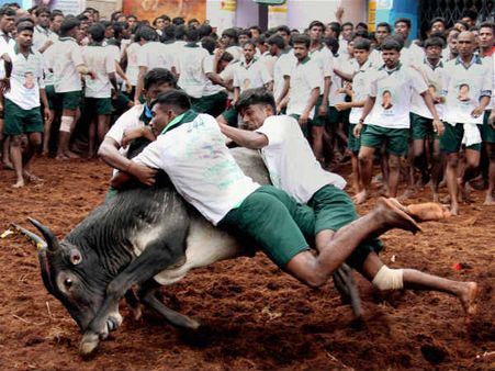 தீவிரமடையும் ஜல்லிக்கட்டுப் போராட்டம்.. மதுரை அருகே 60 கிராமங்களில் கடையடைப்பு