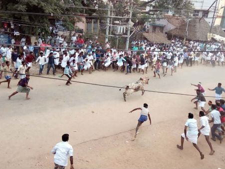 தஞ்சையில் தடையை மீறி ஜல்லிக்கட்டு… 20 காளைகளை பிடித்து இளைஞர்கள் ஆராவாராம்