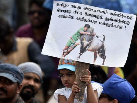 வேண்டாம் வேண்டாம் அவசரச் சட்டம் வேண்டாம்.. எழுச்சி குறையாத மக்கள் போராட்டம்.. ஷாக்கில் அரசுகள்!