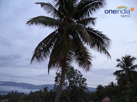 ஜல்லிக்கட்டு... (1)... பொங்கல் சிறப்பு தொடர் கதை!