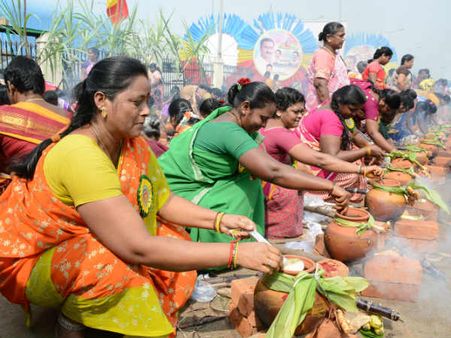 புதுப்பானையில் பொங்கல் வைத்த பெண்கள்... உற்சாகமாக பங்கேற்ற பாமக அன்புமணி