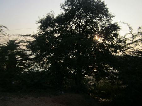 நான் ஊருக்குத்தான் சின்னம்மா உங்களுக்கு இல்லை - ஜல்லிக்கட்டு (2) 