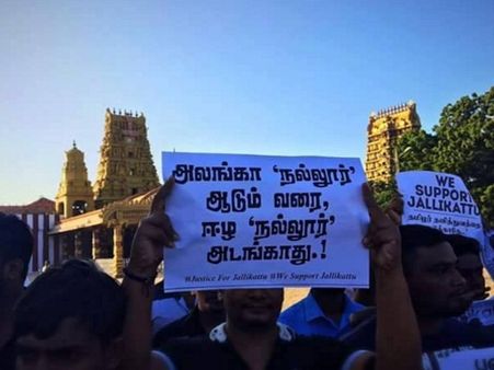 அலங்காநல்லூரில் மையம் கொண்ட ஜல்லிக்கட்டு புயல் யாழ்ப்பாணம் நல்லூரையும் தாக்கியது!