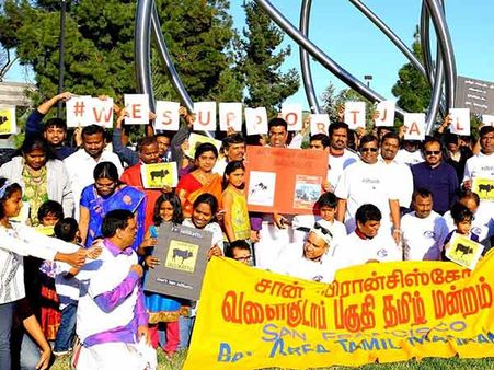 ஜல்லிக்கட்டுக்காக சிலிக்கன்வேலியில் தமிழர்கள் போராட்டம்: அமெரிக்கர்களும் ஆதரவு