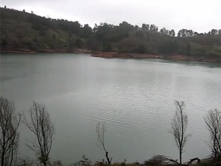 பவானி ஆற்றின் குறுக்கே கேரளா தடுப்பணை கட்டக்கூடாது.. சுப்ரீம் கோர்ட்டில் தமிழக அரசு வழக்கு