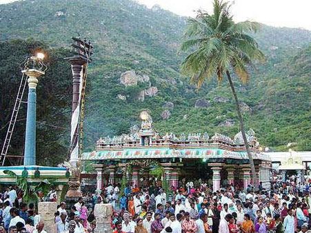 தைப்பூசம்: முருகன் ஆலயங்களில் காவடி சுமந்து வந்து பக்தர்கள் வழிபாடு - தேரோட்டம் கோலாகலம்