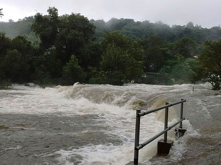 நெல்லையில் பரவலாக மழை - பாபநாசம் அணைக்கு நீர்வரத்து அதிகரிப்பு