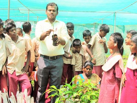 குழித்தட்டு நாற்றங்கால் உற்பத்தி எவ்வாறு செய்வது? மாணவர்களுக்கு நேரடி செயல் விளக்கம்