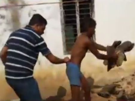 செம்மரம் கடத்தியதாக கைதான தமிழர்கள் மீது ஆந்திர போலீஸ் கொடூர தாக்குதல்.. ஷாக் வீடியோ!