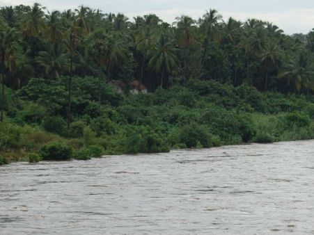 அவினாசி-அத்திக்கடவு திட்டத்துக்கு ரூ250 கோடி பட்ஜெட்டில் ஒதுக்கீடு