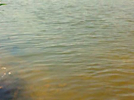 பாலாற்றில் ஆந்திரா தடுப்பணை கட்டுவதை எதிர்த்து சுப்ரீம்கோர்ட்டில் தமிழக அரசு புதிய மனு