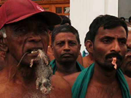 பச்சை எலிக் கறி தின்று தமிழக விவசாயிகள் போராட்டம்… டெல்லியில் கொடூரம்