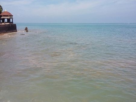 கருஞ்சிகப்பு நிறமாக மாறிய திருச்செந்தூர் கடல்.. ரசாயன கழிவு கலந்ததா? பக்தர்கள் அச்சம் !