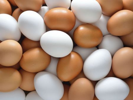 பிளாஸ்டிக் முட்டை - இருக்கா, இல்லையா?: தேசிய முட்டை ஒருங்கிணைப்பு தலைவர் விளக்கம்