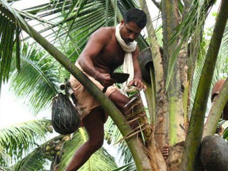 டாஸ்மாக் மூடப்பட்டதன் எதிரொலி.. உளுந்தூர் பேட்டையில் கள் விற்பனை அமோகம்!