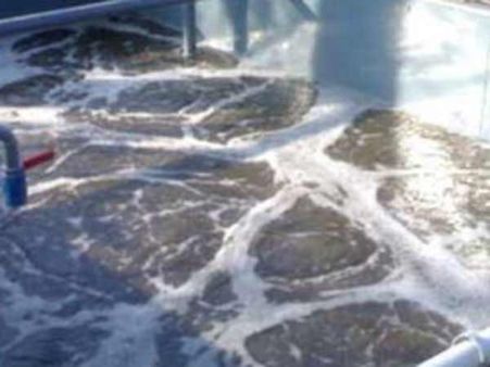 சென்னை முகப்பேரில் விஷவாயுத் தாக்கி தொழிலாளர் பலியான பரிதாபம்