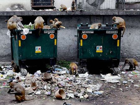 சென்னையில் குப்பைத் தொட்டியில் கிடந்த ரூ.11.89 லட்சம்.. போலீசில் ஒப்படைத்த துப்புரவு தொழிலாளி