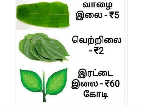  எல்லா இலையையும் விட 