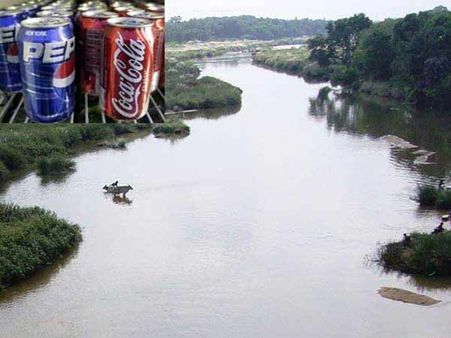 குடிநீர் பஞ்சம்.. கோக், பெப்சி நிறுவனங்கள் தாமிரபரணியில் நீர் எடுக்க தடை… ஆட்சியர் அதிரடி உத்தரவு