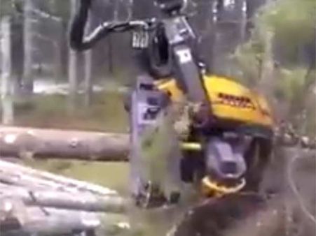 இப்படி அதி வேகமாக மரங்களை பிடுங்கிப் போட்டா வெயில் வெளுக்காம கொஞ்சவா செய்யும்?!