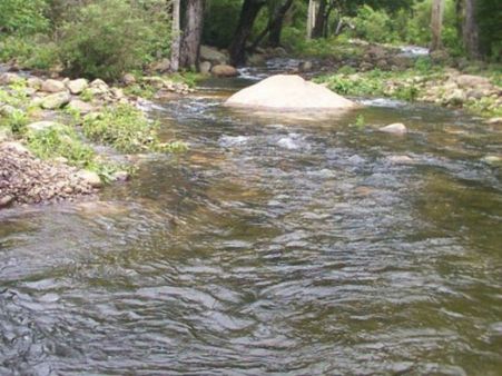 மேற்கு தொடர்ச்சி மலைப் பகுதிகளில் உள்ள அணைகளின் நீர் மட்டம் குறைந்தது