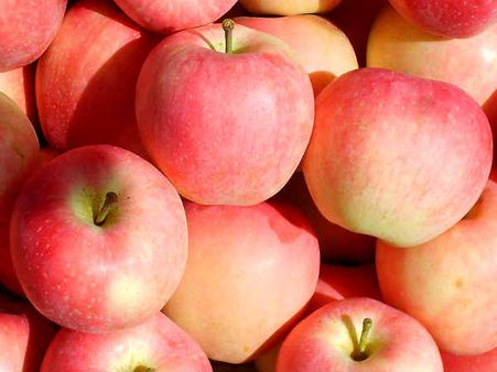 இந்தியாவில் சீன ஆப்பிள்களுக்குத் தடை... மற்ற நாட்டு ஆப்பிள்களுக்கு எப்போது?