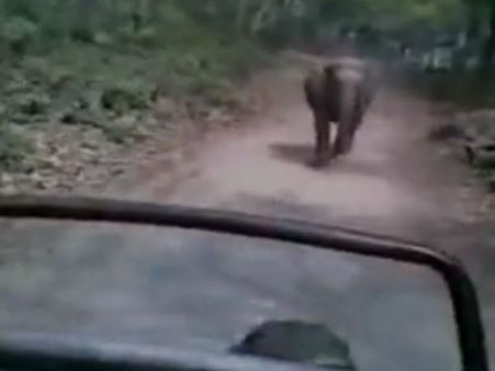 ஓடு.. ஓடு.. தேசியப் பூங்காவில் சுற்றுலாப் பயணிகளை வெறித்தனமாக விரட்டிய யானை! வீடியோ