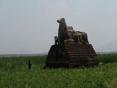 வறண்ட மேட்டூர் அணையில் விவசாயம்... நந்தி சிலையின் முழு தரிசனம் - அணையை தூர்வாருமா அரசு