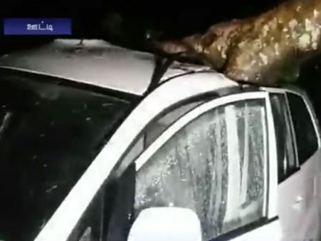 ஊட்டியில் கடும் மழை.... சாலையோர மரங்கள் வீழ்ந்தன - வீடியோ