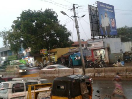 சூறைக்காற்றுடன் கன மழை... சிவகாசியில் மரம் விழுந்து பெண் பலி