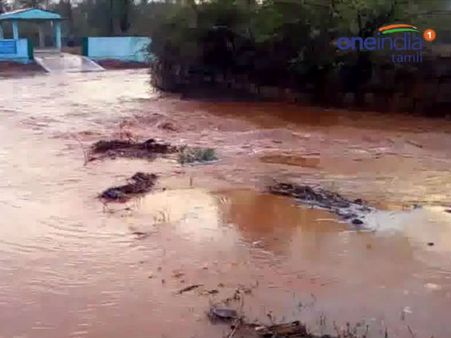 திண்டுக்கல் சுற்றுவட்டாரப் பகுதிகளில் வெளுத்து வாங்கிய மழை.. மக்கள் மகிழ்ச்சி! - வீடியோ
