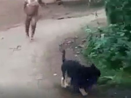 ஜட்டியை எடுத்து கொண்டு ஓட்டம் பிடிக்கும் நாய்... மானத்தை காப்பாற்ற பாடுபடும் பொடியன்!