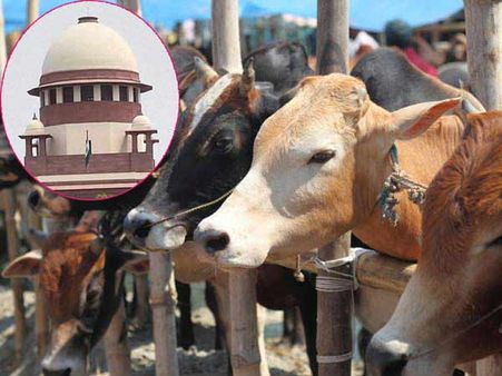 சந்தைகளில் இறைச்சிக்காக மாடு விற்க, வாங்க தடை... மத்திய அரசு உத்தரவை எதிர்த்து வழக்கு