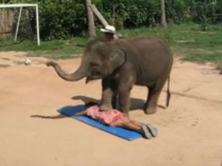 குப்புறப் படுக்கப் போட்டு யானை மிதிச்சா எப்படி இருக்கும்...??