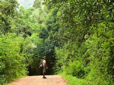 Meesapulimala trekகும் நாக்குத் தள்ளல் Momentuம்!