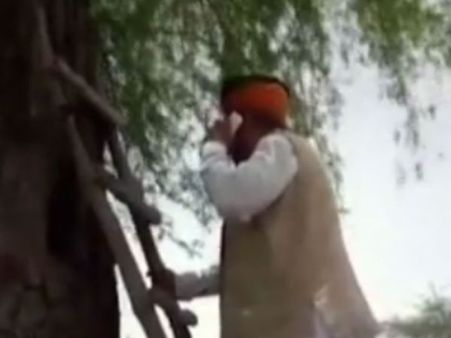 செல்போனுக்கு சிக்னல் கிடைக்கல... ஏணி போட்டு மரத்தின் மீது ஏறி பேசிய மத்திய அமைச்சர்!