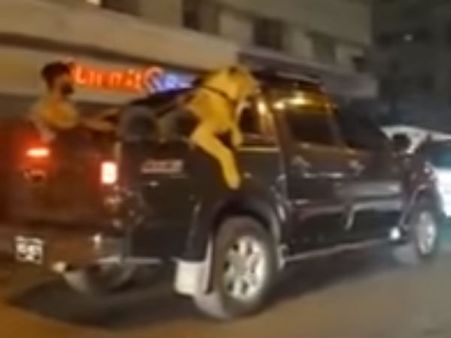 சிங்கத்துடன் காரில் ஜாலி ட்ரிப் போன பாகிஸ்தான் தொழிலதிபர்... கிலியான மக்கள்!