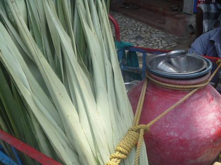 பதனீருக்கு ஆசைப்பட்டு பைக்கை இழந்த வாலிபரால் பரபரப்பு