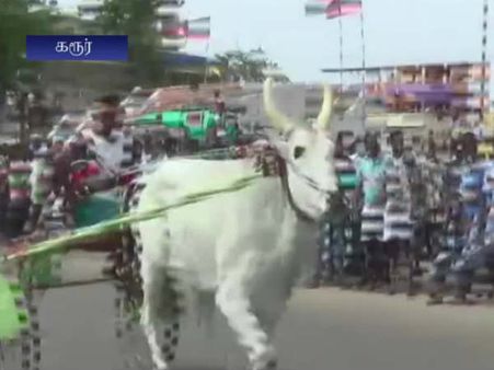 கருணாநிதியின் 94வது பிறந்தநாளை முன்னிட்டு கரூரில் மாட்டுவண்டிப் போட்டி - வீடியோ!